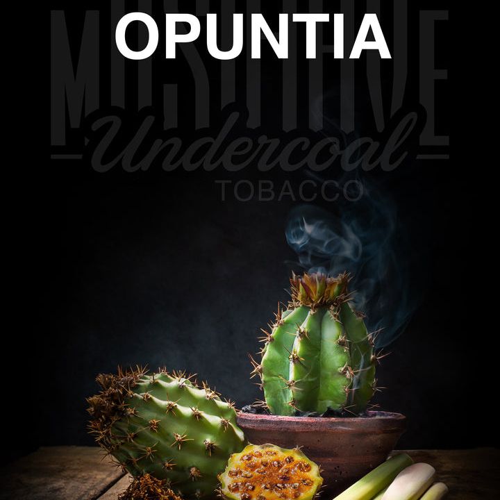 Opuntia
